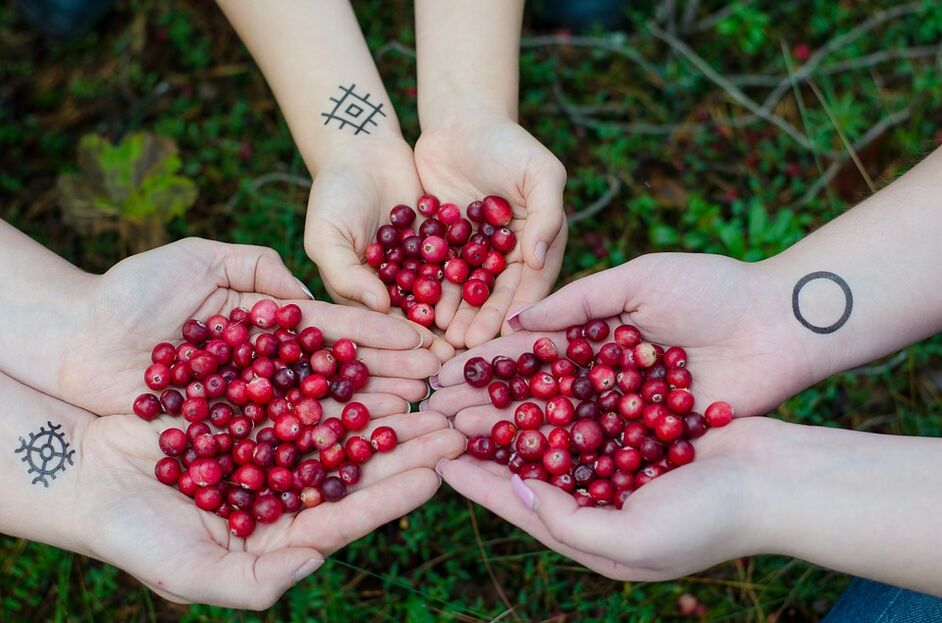 Cranberry for potency