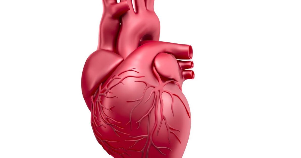 Heart disease reduces potency